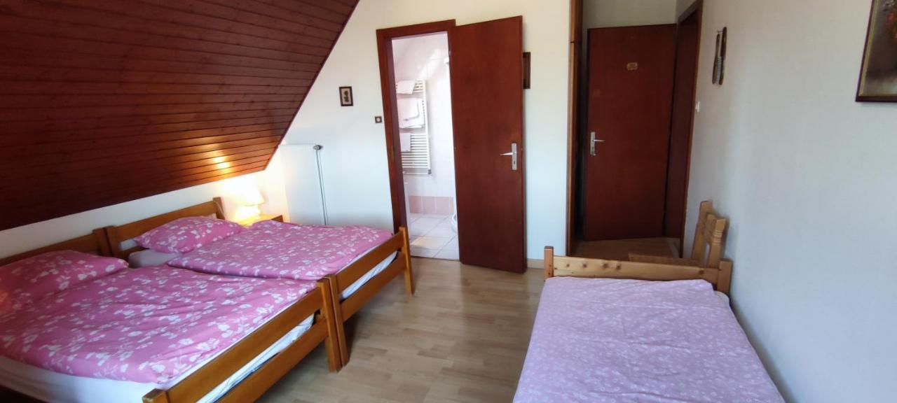 מיטלברגהיים Chambre D'Hotes De La Tulipe מראה חיצוני תמונה